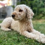 Lucy Langstrumpf - @lucy_langstrumpf - Instagram