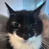 lucy - @lucyalange - TikTok