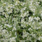 lucy langford - @lucy.photographyx1 - Instagram