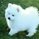 lucylangford2005 - @lucylangford2005 - Instagram