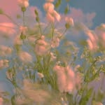 Lucía - @lucyleave - Instagram