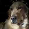 lucylea78 - @lucylea78 - TikTok