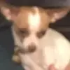 Lucy Leger - @lucy.leger - TikTok