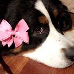 Lucy Lehman - @littlelucylehman - Instagram