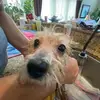 lucy_.lo - @lucy_.lo - TikTok