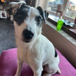 Lucy - @lucy.locket165 - Instagram
