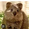 Lucy - @lucylocke12 - TikTok