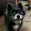 Lucy Lofts - @lucylofts - TikTok