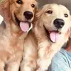 lucyloh948 - @lucyloh948 - TikTok