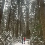 Lucy Loomis - @loomislucy9 - Instagram