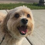 Lucy Lowery - @littlelucylowery5758 - Instagram