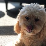 Lucy - @lucy_lowery_ - Instagram
