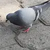 Lucy Lugo - @lucy.lugo82 - TikTok