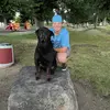 Lucy Lynn - @lucyolson2019 - TikTok
