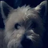 Lucy Maddox - @lucyxxmaddox - TikTok