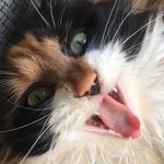 lucy - @lucy_majorr - Instagram