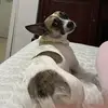 lucy_maria017 - @lucy_maria017 - TikTok