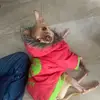 lucy_marino1 - @lucy_marino1 - TikTok