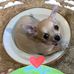 Lucy Maynard - Facebook