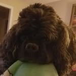Lucy Belle McClelland - @lucy.belle.03_3 - Instagram