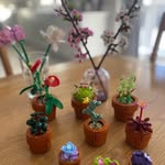 Lucy McClelland - @lu07mcc - Instagram