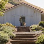 Lucy McFadden Landscape Design - @lucymcfaddenlandscapedesign - Instagram