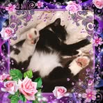 Lucy McHale - Facebook