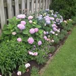 Lucy Kasper McInerney - @lucysseaglass - Instagram