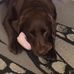 Lucy Mcmullen - Facebook