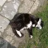ihfyj46 - @lucymeans8 - TikTok