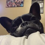 Lucy Michaels - @lucythegreat14 - Instagram