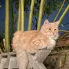Lucy Montes - @lucymontes693 - TikTok