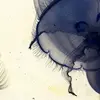 lucymoon - @lucymoon781 - TikTok