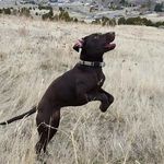 Lucy Mortimer - @hot.dog.lucy2.0 - Instagram