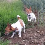 Lucy Mortimer - Facebook