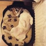 lucy mortimer - @mortimer2334 - Instagram