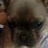 Lucy Mulligan - @lucylolo45 - TikTok