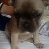 Lucy mulligan - @lucyelise6 - TikTok
