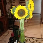 lucy negrete - @negrete2196 - Instagram