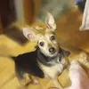 Candy Ingo - @lucyingo - TikTok