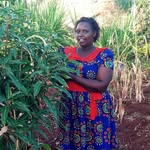 Lucy Ngugi - @lucy_ngugi1 - Instagram
