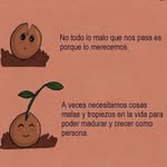 Lucy oliva - @lucyoliva43 - Instagram
