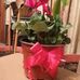 Lucy Ontiveros - Facebook