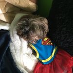 Lucyoverton - @itslucyoverton - Instagram