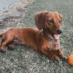 Lucy Pace - @lucythesnag - Instagram