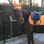 Lucy Parish - @lucy_p7944 - Instagram