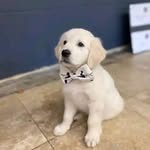 Lucy Patrick - @lucy1212110 - Instagram
