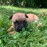 Lucy - @lucy_peckford - Instagram