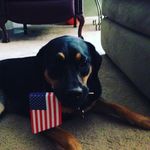 Lucy Lue Peck - @lucypeck7339 - Instagram