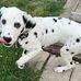 Lucy Petersen - Facebook